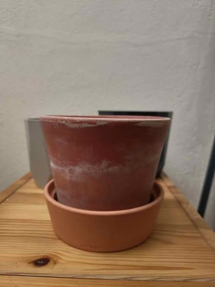 Photo of free Plant pots (Crouch end N8) #2
