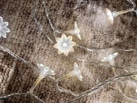 Photo of free LED flower fairylights (Welling DA16) #2