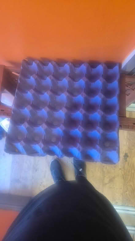 Photo of free Egg trays/seed trays (Derby Chaddesden DE21) #1