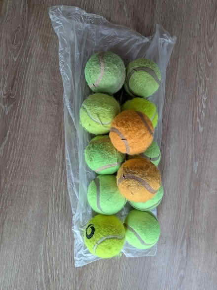 Photo of free Tennis balls for dog (Chippenham SN14) #1