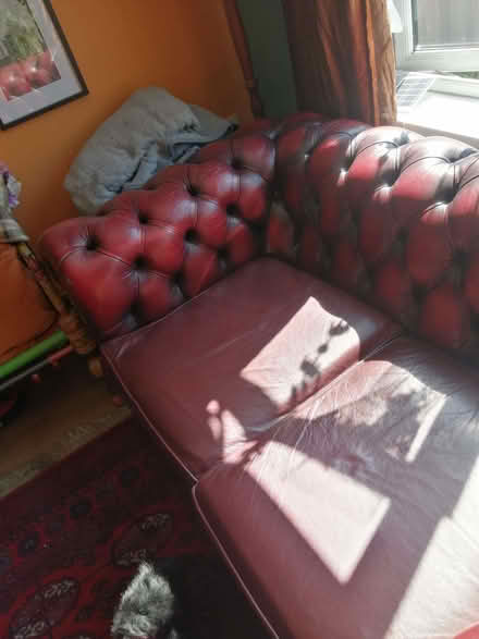 Photo of free Leather chesterfield sofa (Church RG2) #3