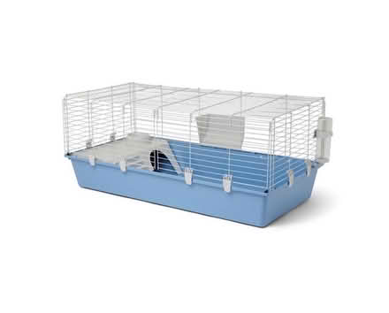 Photo of free Guinea pig cage (Hove) #2