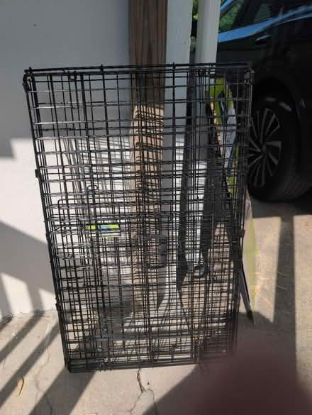 Photo of free Dog crate (Brentwood) #1