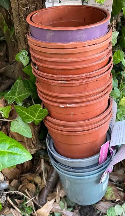 Photo of free Plastic plant pots Small (Titchfield Common PO14) #1