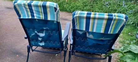 Photo of free Two garden sun chairs (CT4) #2