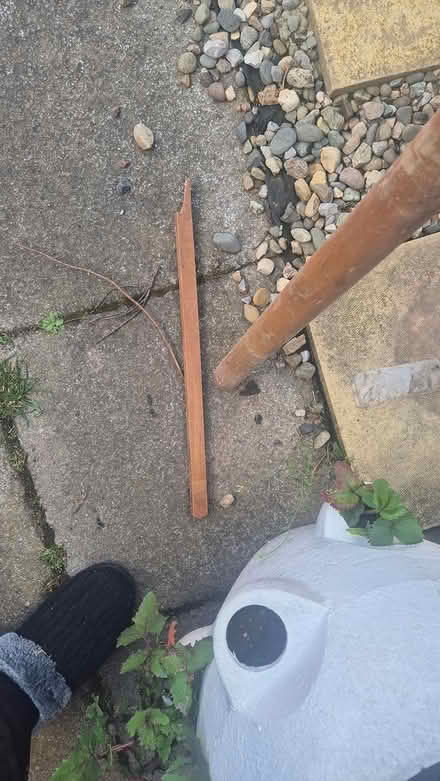 Photo of free Parasol (Derby Chaddesden DE21) #3