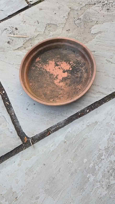 Photo of free Large Plant pot saucer (Solihull B91) #1