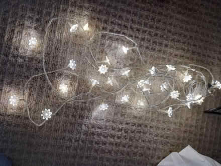 Photo of free LED flower fairylights (Welling DA16) #1