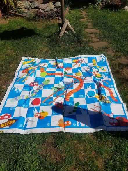 Photo of free Garden snakes and ladders (Orpington BR5) #1