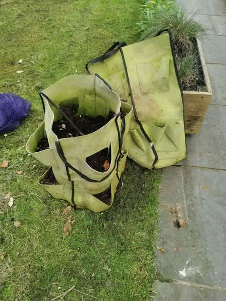 Photo of free Strawberry planter (Stratton on the Fosse BA3) #1