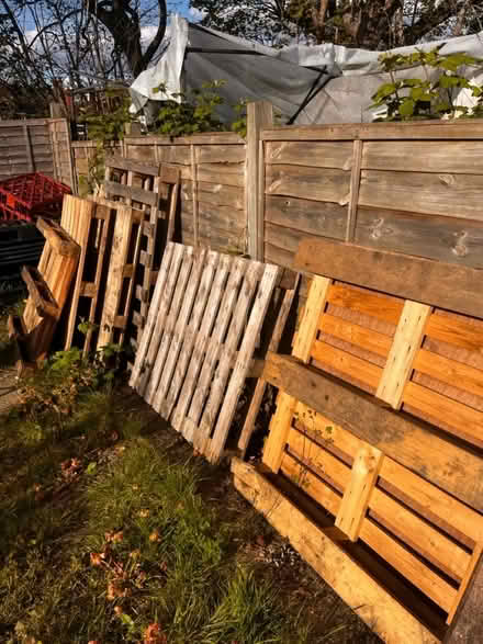 Photo of free Wooden and Plastic pallets (Ub60ln) #1