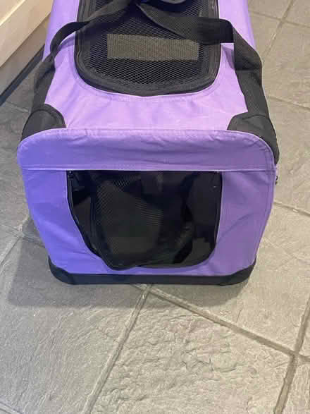 Photo of free Soft pet carrier (Ingatestone CM4) #2