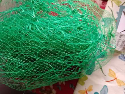 Photo of free Pea and bean netting (Hughenden Valley HP13) #1