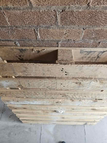 Photo of free Plain wooden pallet (Wirral) #3