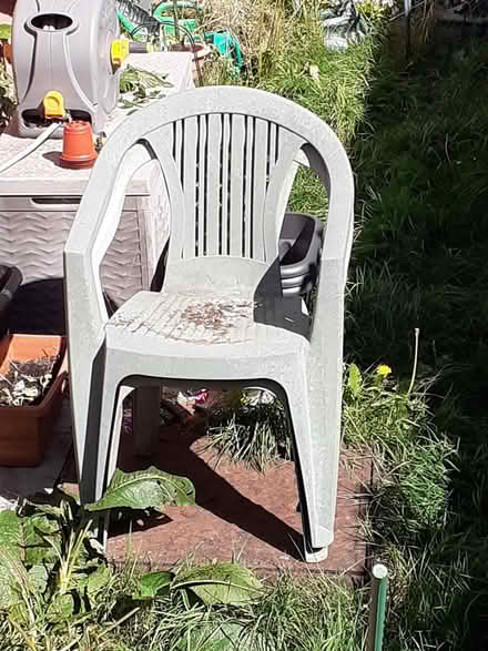 Photo of free Old Green Garden chairs x 2 (Tonbridge TN9) #1
