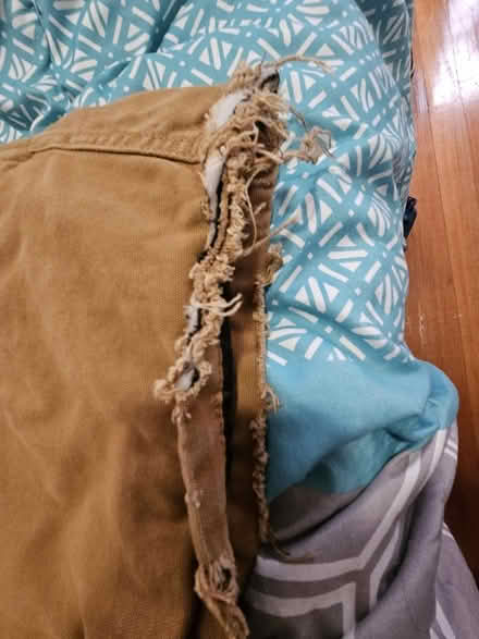 Photo of free Men's Jacket (Medford ma) #3