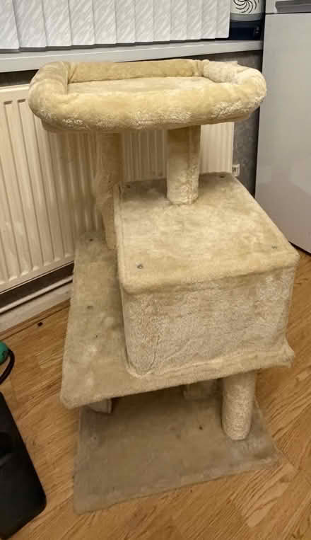Photo of free Cat Tower - must go today (Sunday) (Edlesborough LU6 2) #1
