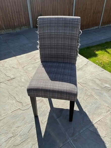 Photo of free Dining chairs x 4 (Old town SG1) #1