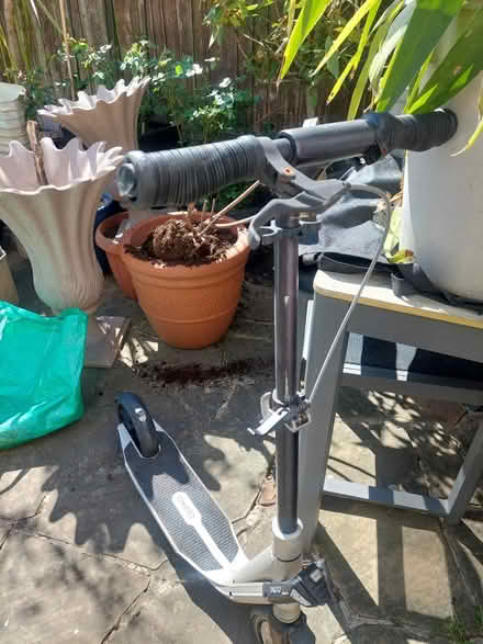 Photo of free Adult/ teen Scooter (SW16) #2