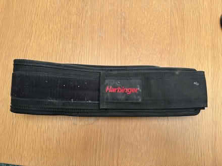 Photo of free Weights belt (Pooley Green TW20) #1