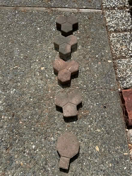 Photo of free Bricks (Terra Linda) #4