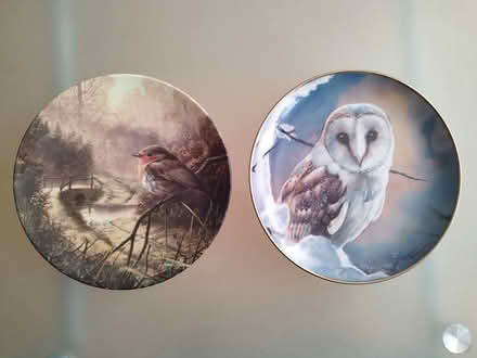 Photo of free Owl And Robin Plates (West Bletchley MK3) #1