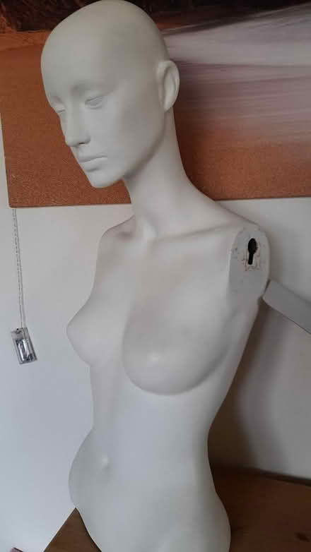 Photo of free Manikin (Marshalswick St.Albans) #1