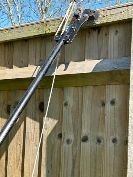 Photo of free Extendable Branch lopper (Princes Risborough) #2
