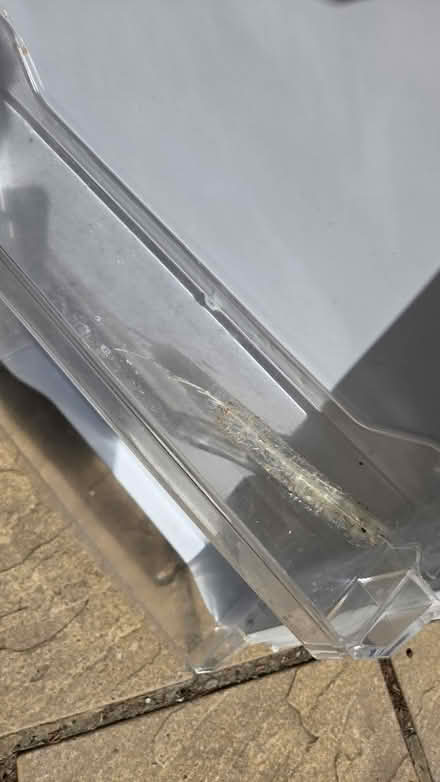 Photo of free Freestanding Fridge (Bexleyheath DA6) #4