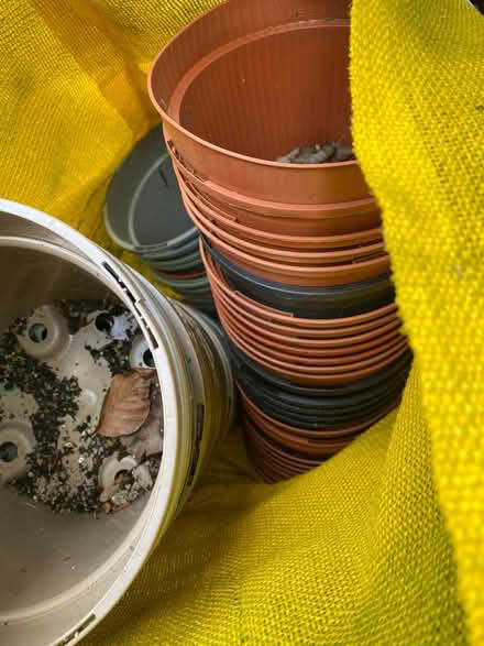 Photo of free Job lot of plant pots various sizes (Kendal LA9) #3