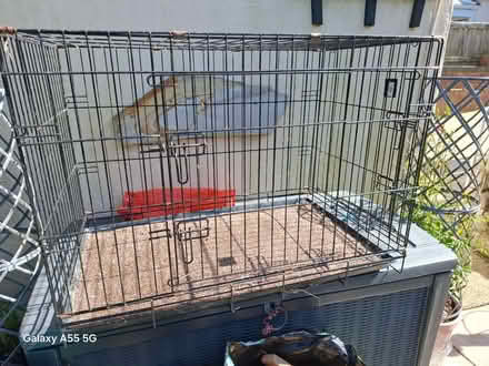 Photo of free dog cage/crate (Gorsedd CH8) #1