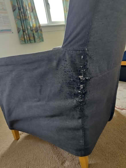 Photo of free Armchair IKEA KARLSTAD (Neilston) #3