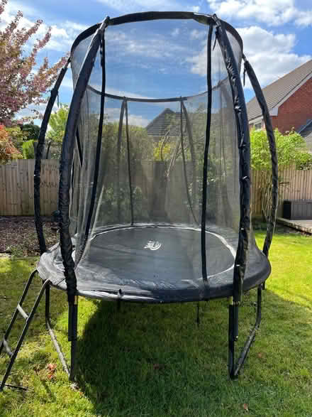 Photo of free Telstar 8ft oval trampoline (Gamston NG2) #2