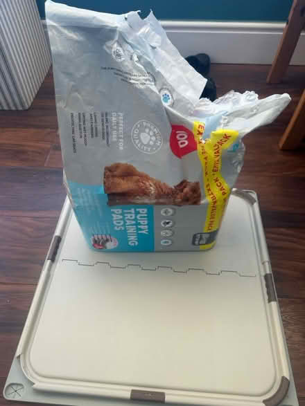 Photo of free Puppy Training Pad (Dronfield S18) #1