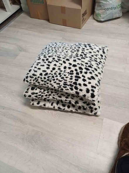 Photo of free 3 cushions (Yaxley) #1