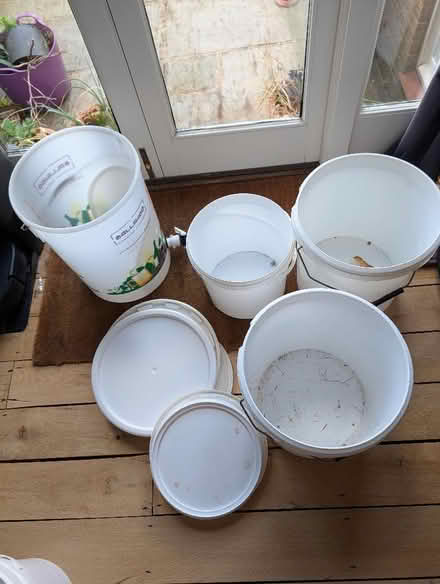 Photo of free Food/Brew buckets and lids (Hertford SG13) #1