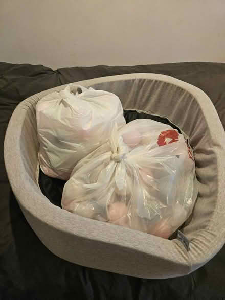 Photo of free Small ball pit, babies and toddlers (NW5 Grafton Terrace) #1