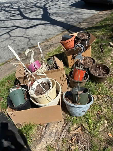 Photo of free plastic plant pots (Oak Lane Manor) #1