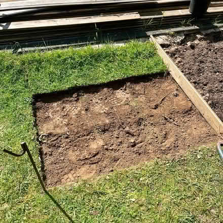 Photo of free More real lawn turf (Hatfield AL10) #2