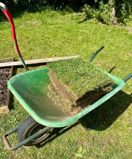 Photo of free More real lawn turf (Hatfield AL10) #1