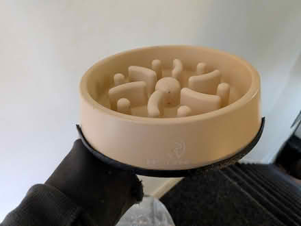 Photo of free Slow feeding dog bowl (Manchester M19) #1