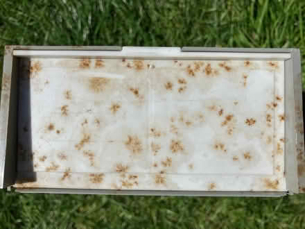 Photo of free Photographic Slide Trays (Portchester PO16) #3