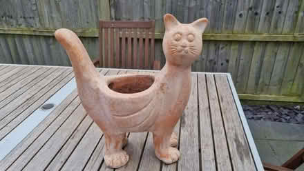 Photo of free Cat Planter (Oundle, PE8) #1