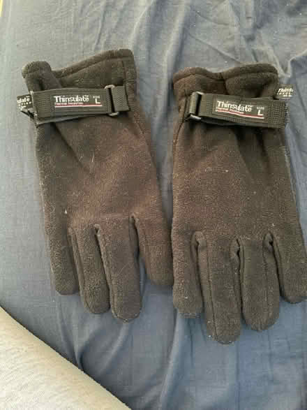 Photo of free Men’s large thinsulate gloves (Fawdon NE3) #1
