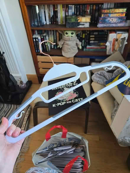 Photo of free Hangers (Dublin 16) #2