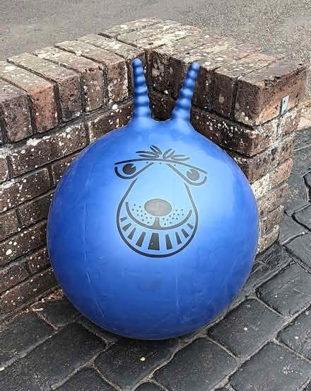 Photo of free Spacehopper (Shoreham-by-sea) #1