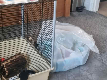 Photo of free large rat cage/haster cage (ne137nq) #2