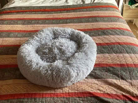 Photo of free New cat beds (Leith EH6) #1