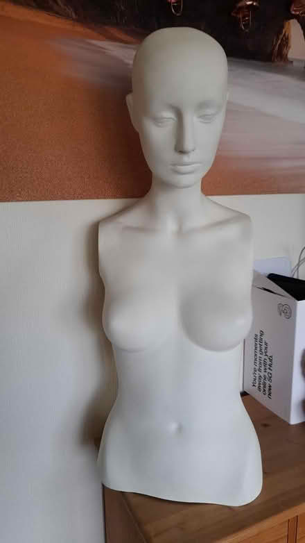 Photo of free Manikin (Marshalswick St.Albans) #2