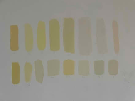 Photo of free 12-15 yellow wall paint sample pots (Lewisham SE13) #1